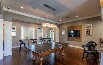 Ping pong/pool table